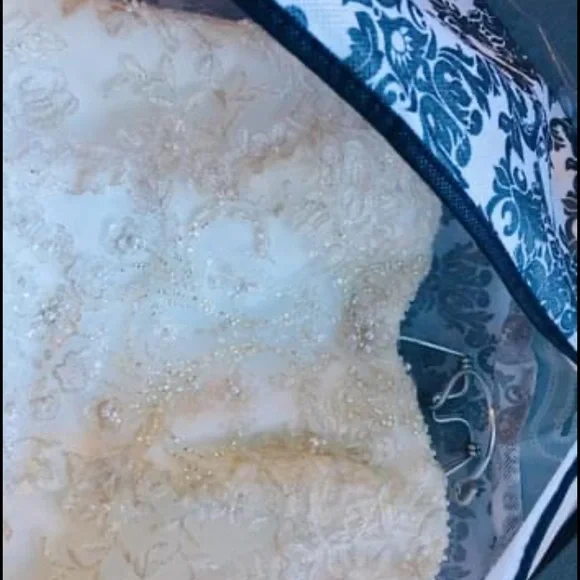 Jewel by David’s Bridal. Beautiful wedding dress!!! Off-white size 6. - Picture 4 of 6